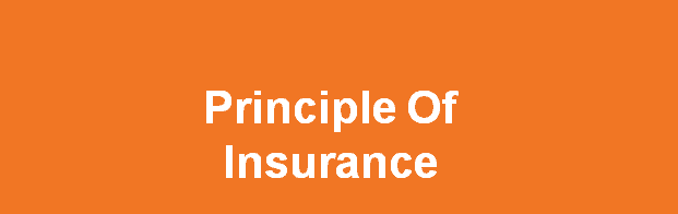 Insurance Principles