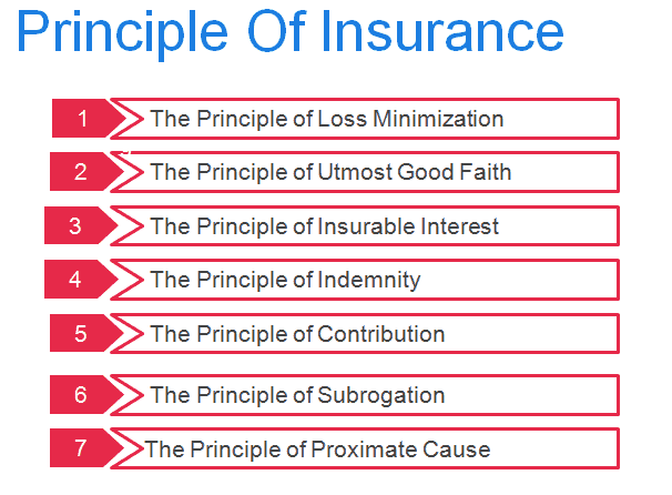 Understanding of Principles of Insurance