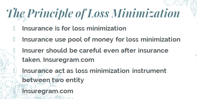 The principle of loss minimization